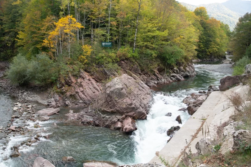 Осеньний река в лесной долине Кавказа