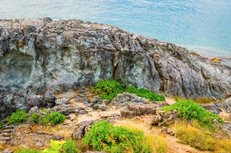 Крутой скальный берег с зелеными растениями