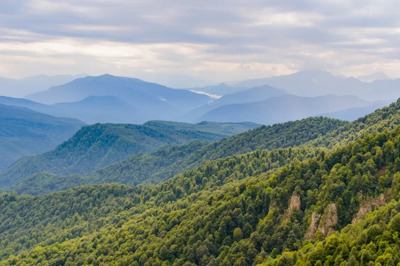 Горный пейзаж с лесами и туманом