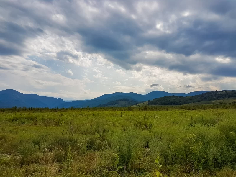 Summer mountain landscape with green fields and dramatic sky