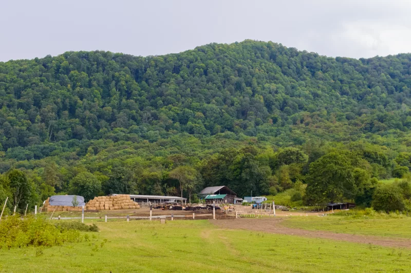 Farm against a green hill