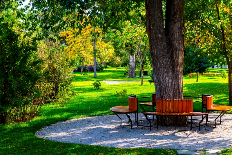 Место для отдыха в саду