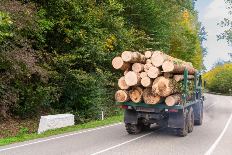Грузовик с древесиной на дороге в лесу