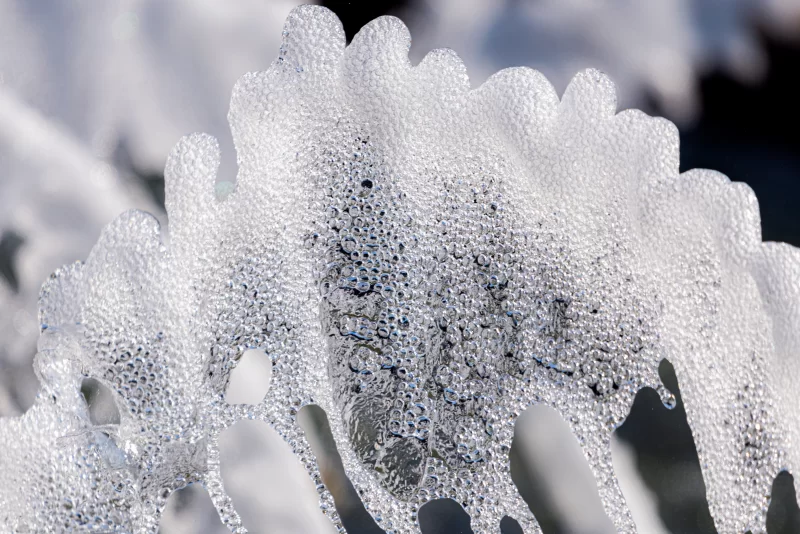 Замерзший ледяной узор на ветке в зимнем лесу