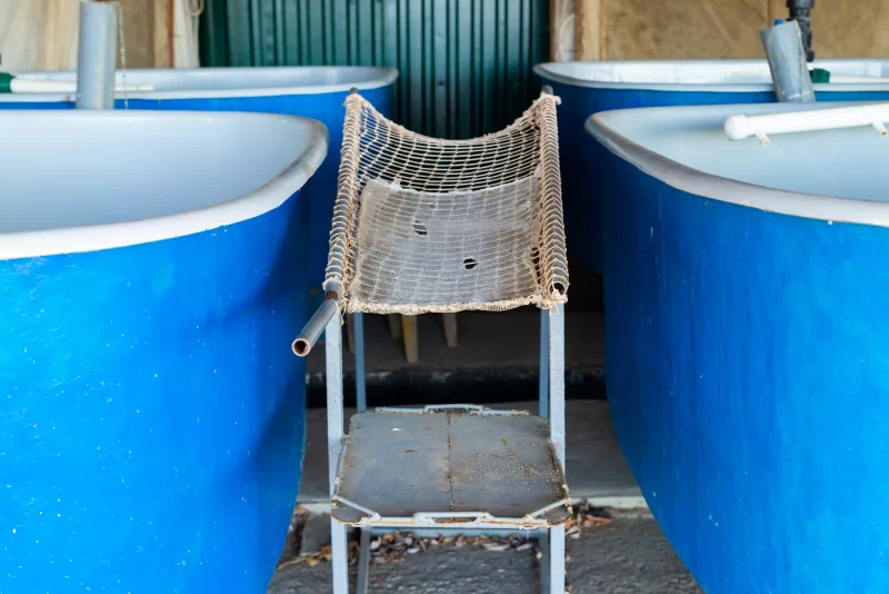 Старая кресло между синими баками