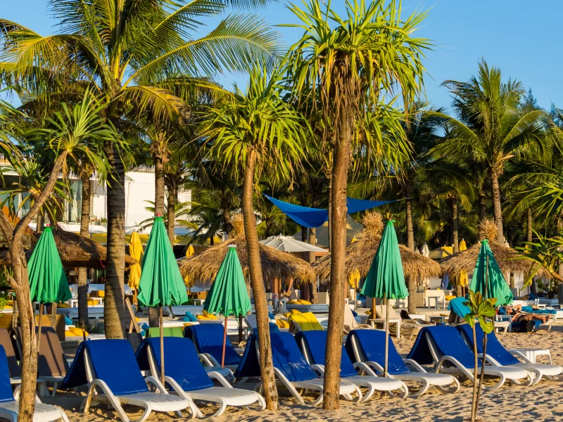 Тропический пляж с пальмами и синими шезлонгами