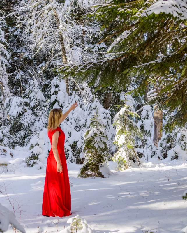 Девушка в красном платье в зимнем лесу