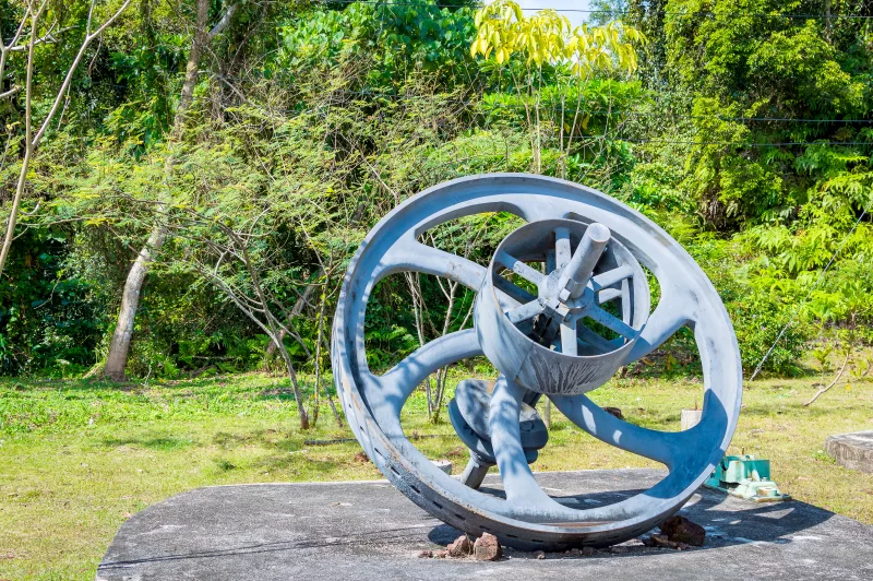 Затерянное промышленное колесо в тропическом лесу