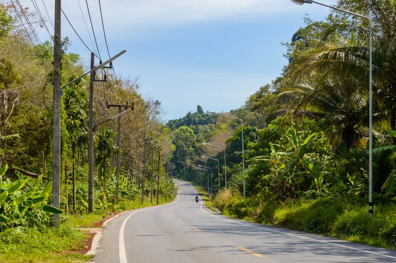 Поворотная дорога через тропический лес
