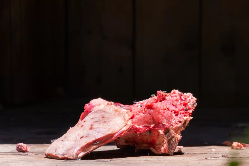 Сырое мясо с мухами на деревянном фоне