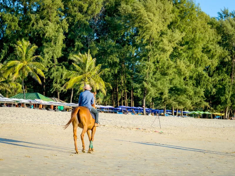 Всадник на коне, прогулка по песчаному пляжу на фоне тропической зелени и зонтиков