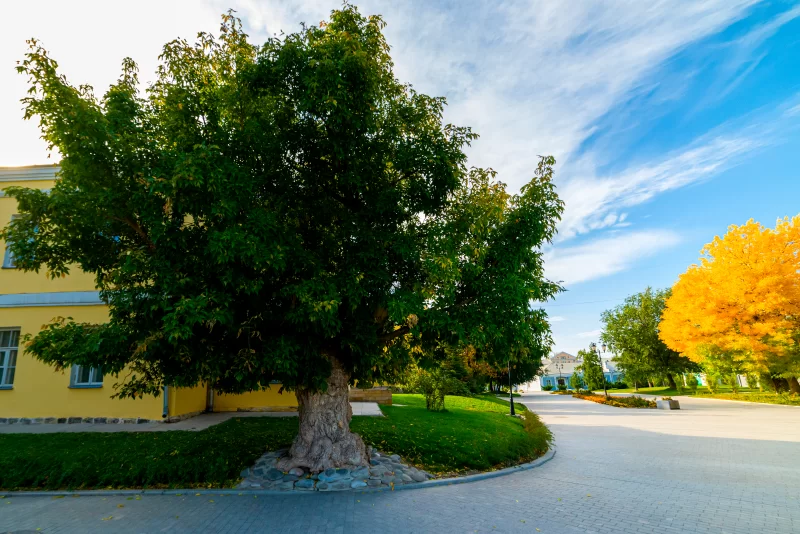 Autumn Park: Natural Beauty