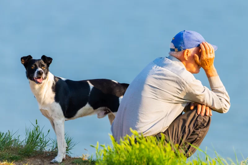 Пожилой мужчина и его верный пес на берегу водоема