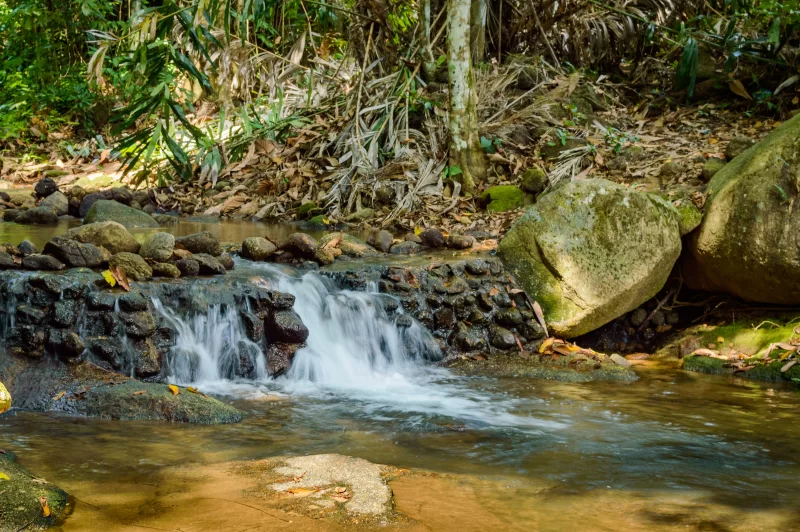 Мирный тропический ручей с маленьким водопадом