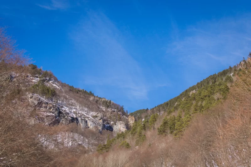 Winter canyon with snowy cliffs