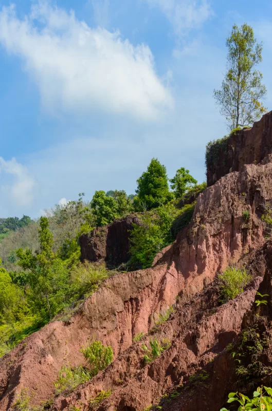 Красная скала с зелеными деревьями на фоне голубого неба