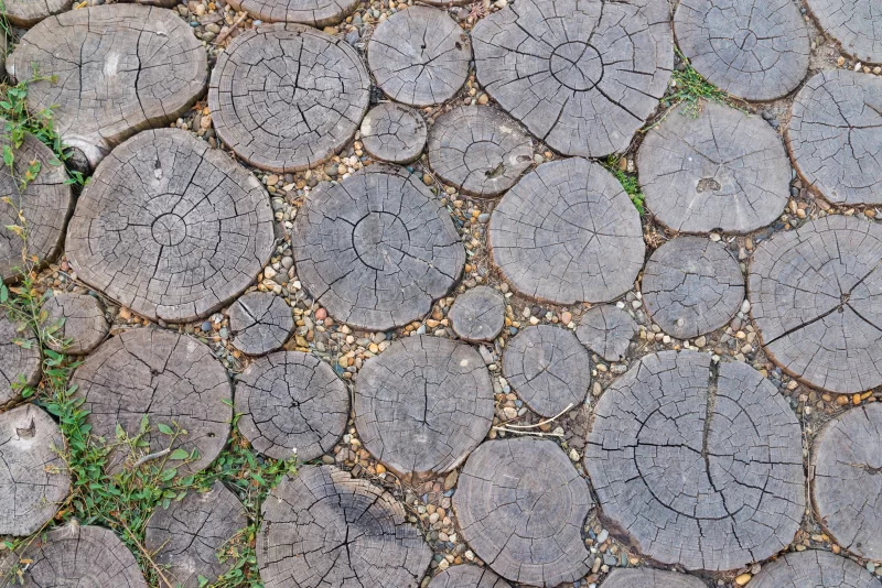 Дорожка из деревянных круглых бревен