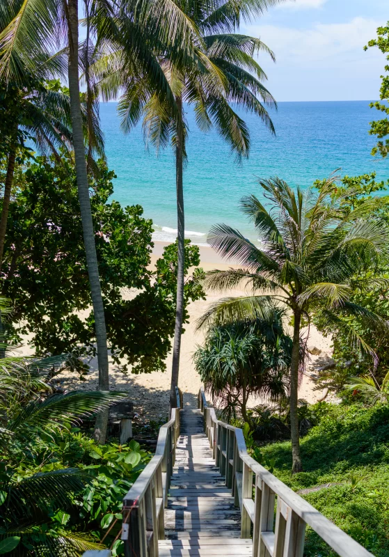 Деревянная лестница к тропическому пляжу