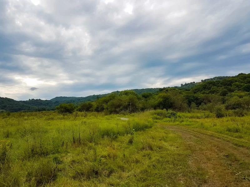 Scenic path in green hills under a cloudy sky