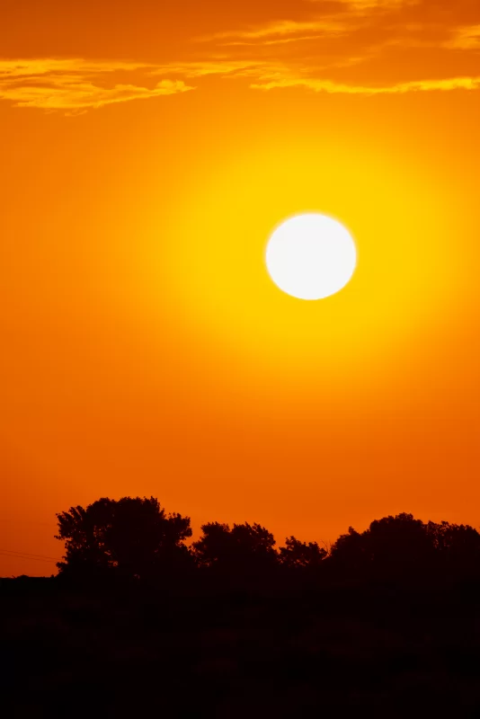 Sunset with Orange Sky and Silhouetted Trees