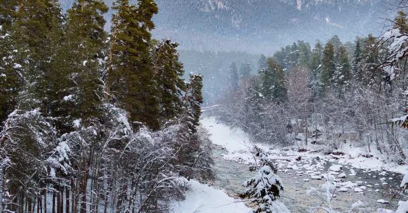 Заснеженный горный пейзаж с рекой и елями