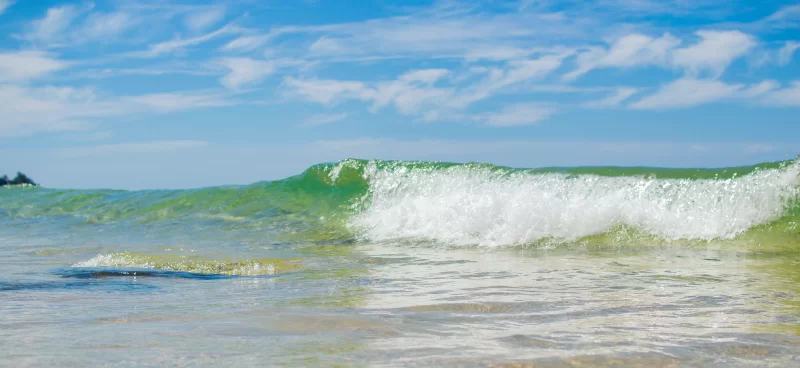 Tropical Sea Wave Close Up
