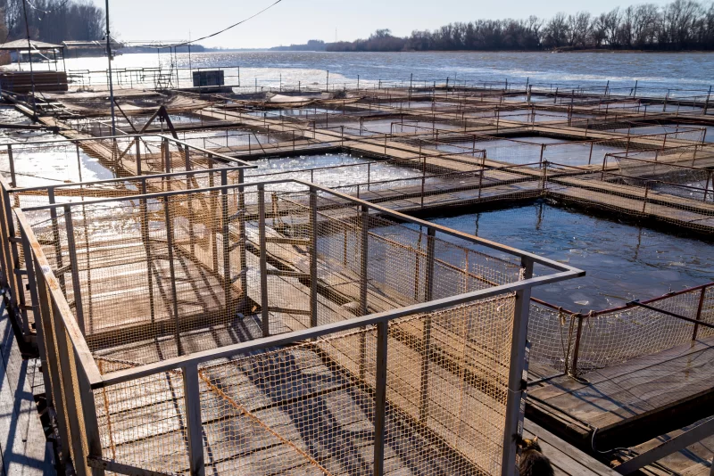 Клетки рыбоводства в реке