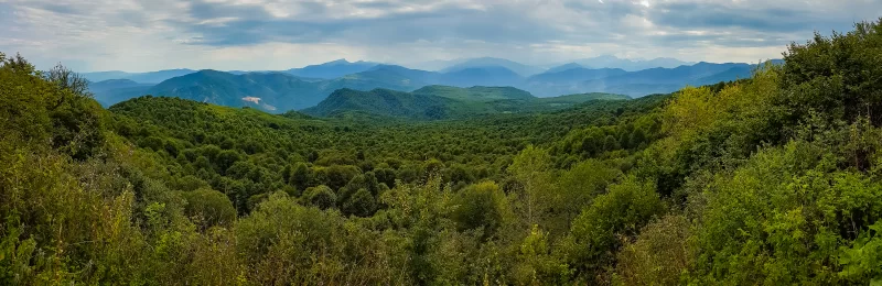 Panorama of green mountains and forests on a cloudy day