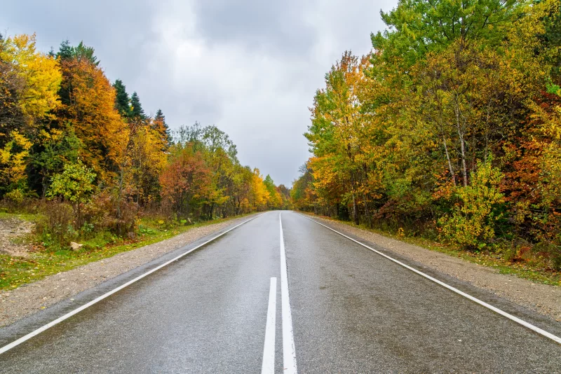Осенняя дорога по лесу Адыгеи