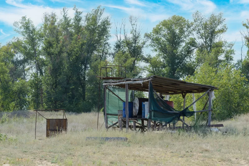 Сельская сцена с деревянной хижиной и зеленым навесом на фоне леса