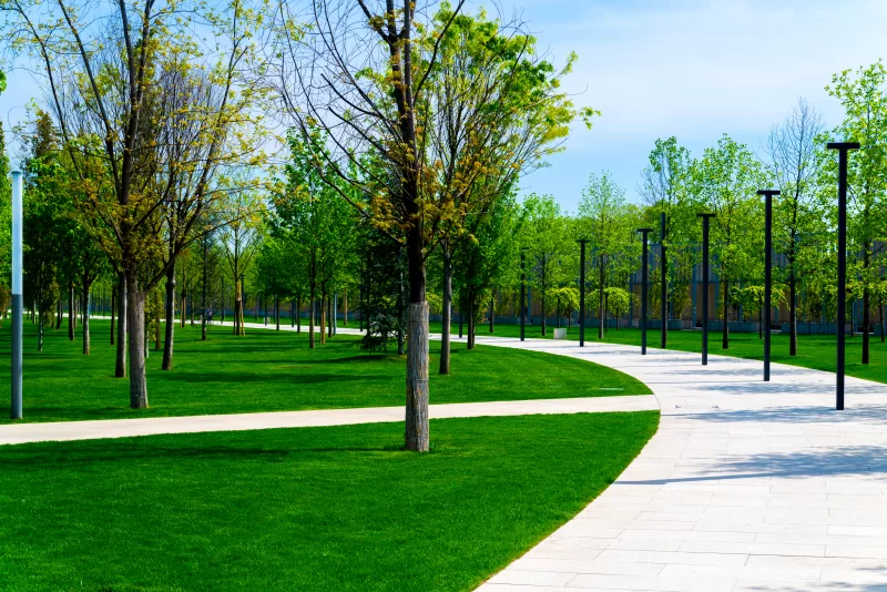 Урбанистический парк с дорожкой и зелёной травой