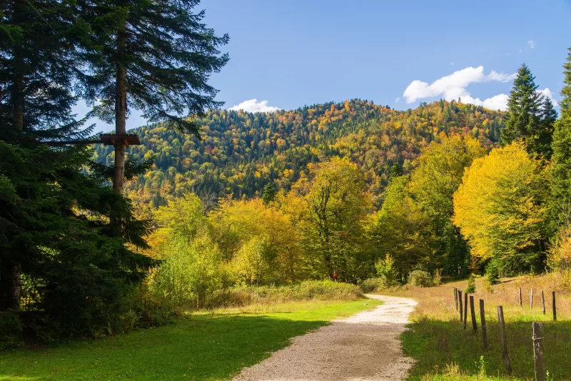 Осеньний путь через лес Адыгеи