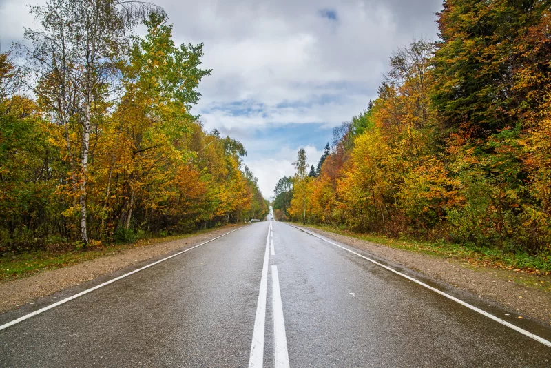 Осенняя дорога через лес Адыгеи