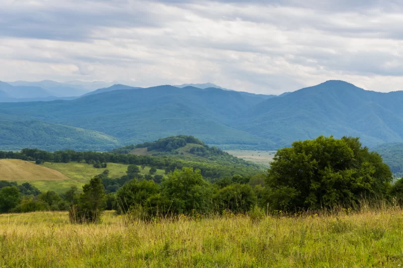 Безмятежный горный пейзаж с зелеными полями и лесами
