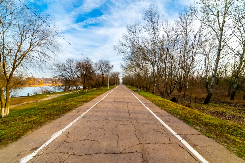 Тропа или дорога вдоль берега реки