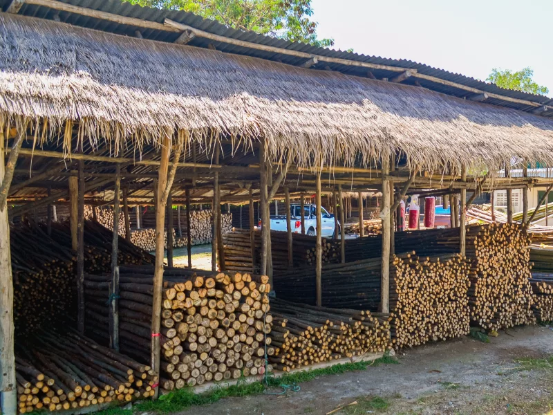 Склад бамбука под соломенной крышей в деревне