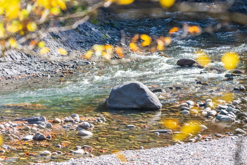 Река с золотыми листьями в Адыгее