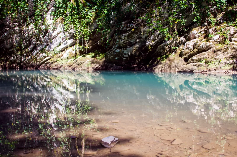 Серенное горное озеро, окруженное густой зеленью