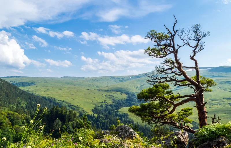 Величественное плато Лаго-Наки в Адыгее: вид с утеса на бескрайние просторы