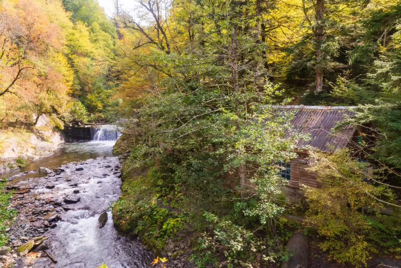 Осень в Адыгее: река и деревенская хижина