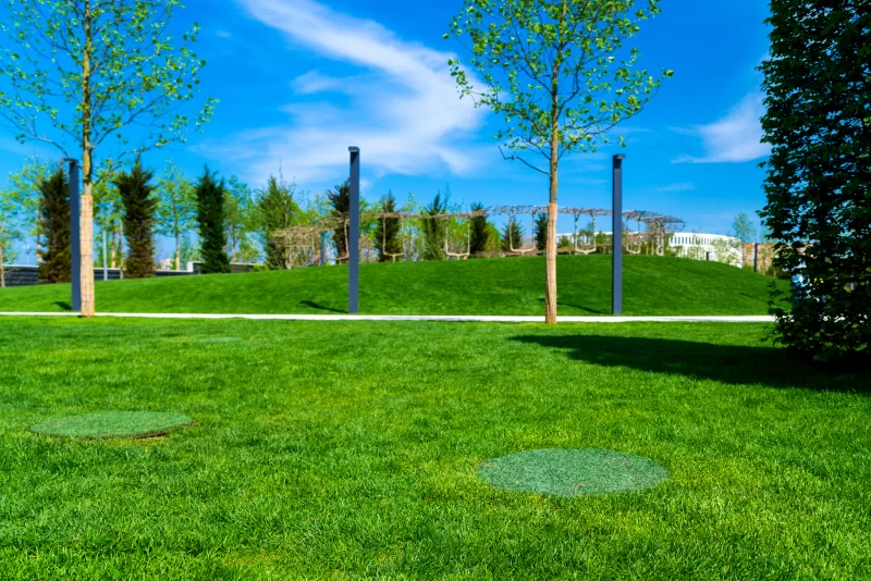 Современный парк с зелёной травой и голубым небом