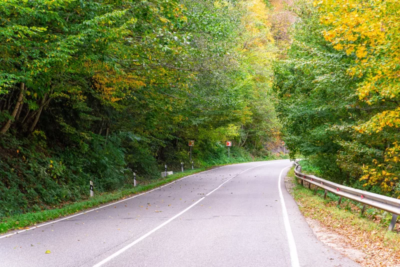 Поворотная дорога через лес Адыгеи
