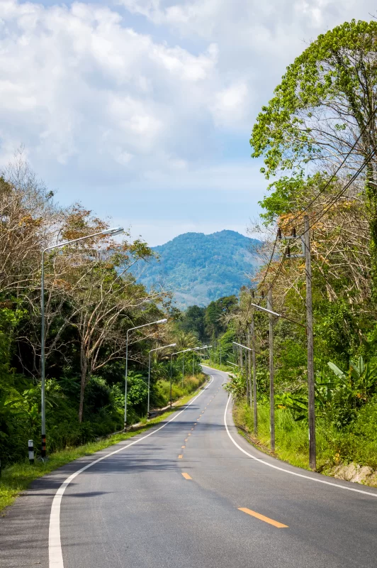 Завитая дорога через густой зелёный лес с горным фоном