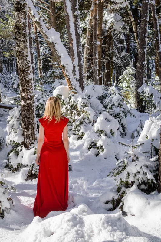 Девушка в красном платье в зимнем лесу