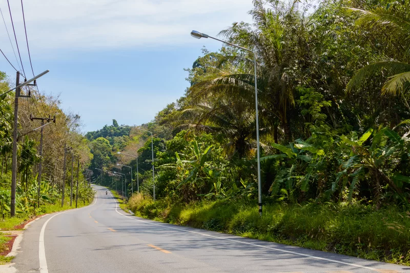 Поворотная дорога через тропический лес