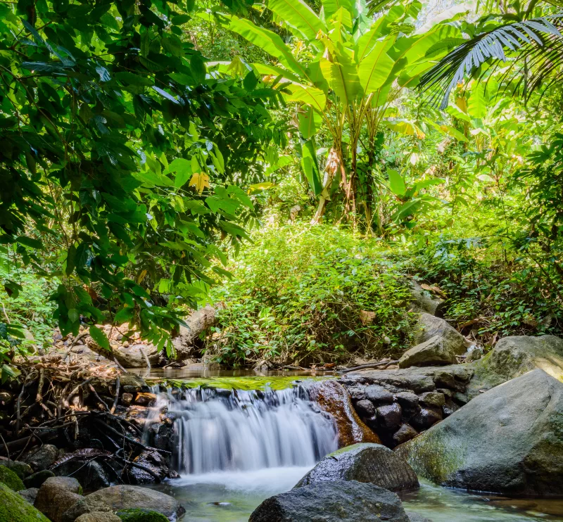 Водопад Кату в тропическом лесу, остров Пхукет, Таиланд