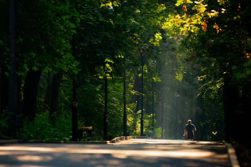 Солнечный путь в лесу с человеком на велосипеде