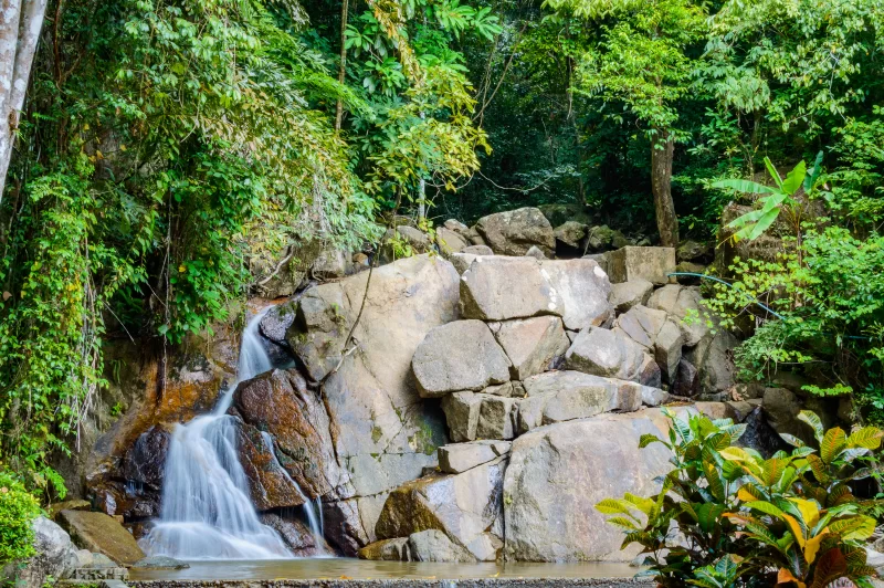 Kathu Waterfall in Tropical Rainforest, Phuket Thailand