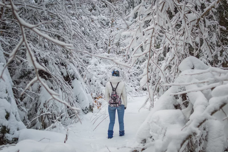 Зимняя сказка: Девушка в заснеженном лесу