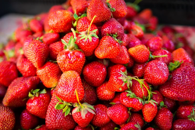 Сочная и спелая клубника крупным планом: изобилие ягод